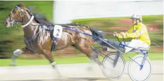  ?? Photo / Greg Bowker ?? Clint Ford will drive Marcoola in the A$300,000 Great Southern Star at Melton on January 26.