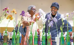  ??  ?? Calvin Vanderhoof, visiting from Mount Shasta, Calif., and her brother, Rick Bastine, admire the many varieties of irises at Saturday’s Santa Fe Iris Society Show at the DeVargas Center.