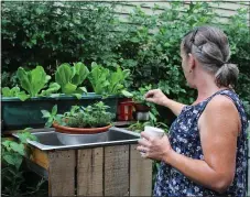  ?? MEDIANEWS GROUP FILE PHOTO ?? A Pottstown borough resident showcases her produce and plants while judges visit her home for the Home Garden Contest.