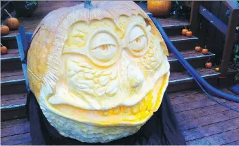  ?? PHOTOS: MAURIZIO CAMPARMO ?? Craig Mutch created this visage from one of Maurizio Camparmo’s pumpkins.