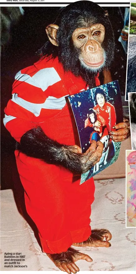  ??  ?? Aping a star: Bubbles in 1987 and dressed in an outfit to match Jackson’s