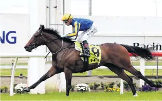  ?? PHOTO: TRISH DUNELL ?? Too hot for them . . . Melt (Michael McNab) has the finish to herself in the race for 2yrolds at Pukekohe on Saturday.