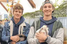  ?? FOTO: PAUL MARTIN ?? Die jungen Züchter Simon und Johannes Schwingsha­ckl mit ihren zyanund marderfarb­en Zwergwidde­rn.