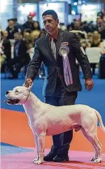  ?? ?? La Real Sociedad Canina de España (RSCE) organizará el concurso de perro joven, además de la Exposición Nacional Canina de Madrid y exhibicion­es de ‘agility’, entre otras actividade­s.