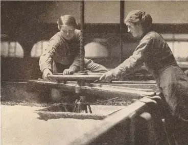  ??  ?? Female workers at a brewery in Burton upon Trent during the First World War