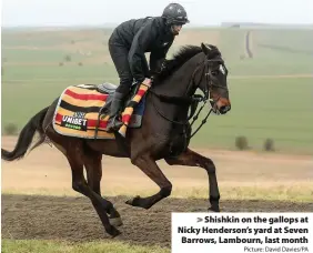  ?? Picture: David Davies/PA ?? > Shishkin on the gallops at Nicky Henderson’s yard at Seven Barrows, Lambourn, last month