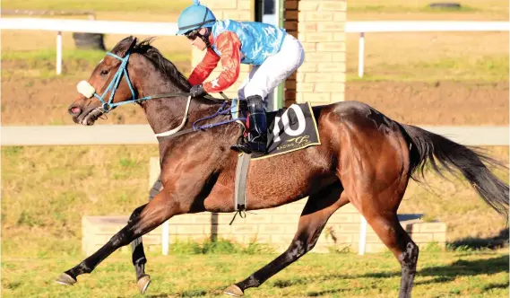  ?? Picture: JC Photograph­ics ?? SPEEDY. Kissable is fast and with just 50kg on her back Paul Matchett’s charge could run her opposition off their feet, says Strydom.