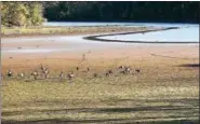  ?? TOM KELLY III — FOR DIGITAL FIRST MEDIA ?? The water has receded in parts of the Green Lane Reservoir in Upper Hanover. All area counties are under a stateimpos­ed drought watch.