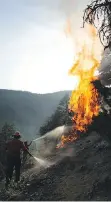  ??  ?? Members of the B.C. Wildfire Service fight the Fountain Valley Road fire southeast of Lillooet on May 30.