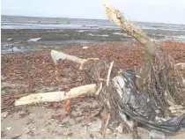  ?? Photo: Ronald Kumar ?? Piles of plastic rubbish including plastic at the Suva Point foreshore on May 11, 2017.