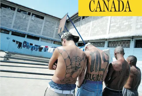  ?? ELMER MARTINEZ / AFP / GETTY IMAGES FILES ?? Four unidentifi­ed members of the MS-13 gang show their tattoos inside the National Penitentia­ry near Tegucigalp­a, Honduras. The gang is notorious in the United States and Central America for its violent crimes.