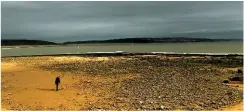  ??  ?? DETECTORIS­T Searching the golden sand of Porthcawl for hidden treasure.