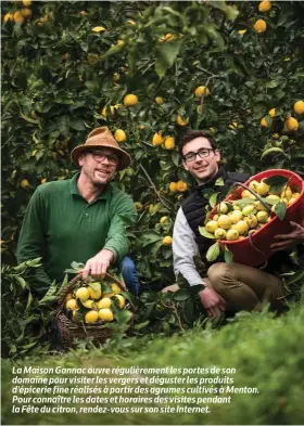  ?? ?? La Maison Gannac ouvre régulièrem­ent les portes de son domaine pour visiter les vergers et déguster les produits d’épicerie fine réalisés à partir des agrumes cultivés à Menton. Pour connaître les dates et horaires des visites pendant la Fête du citron, rendez-vous sur son site Internet.