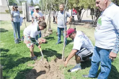  ?? MANUEL SÁENZ ?? María
Esther Chávez, síndica municipal, también echo tierra para sembrar un olmo