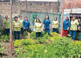  ?? J. BOTÁNICO ?? En la ciudad están registrado­s más de 20 mil huerteros que trabajan en 2.200 espacios.