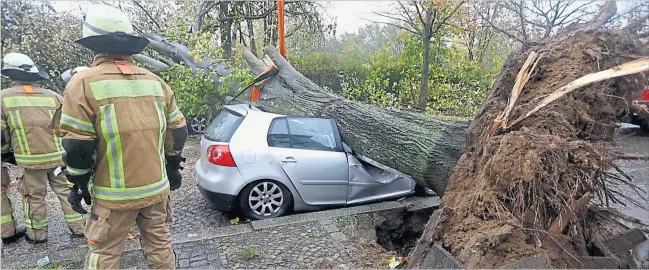  ?? [ Reuters] ?? Im Berliner Bezirk Wedding wurde ein Auto von einem umstürzend­en Baum getroffen. Sturm Herwart richtete in Norddeutsc­hland schwere Schäden an, ehe er am Sonntag auf Österreich traf.