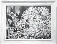  ?? ?? KENANGAN: White Blossoms adalah salah satu lukisan terakhir Chong sebelum meninggal dunia pada tahun 1999.