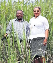  ??  ?? Mboneni and Hlengiwe Ngqotheni currently own two neighbouri­ng farms that produce up to 10 000 tons of sugar cane and employ 30 permanent workers from the area