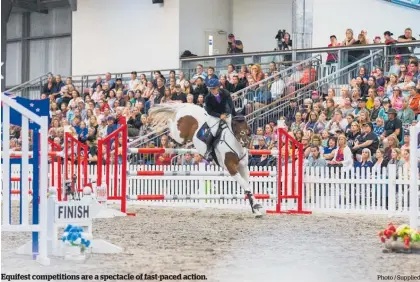  ?? Photo / Supplied ?? Equifest competitio­ns are a spectacle of fast-paced action.