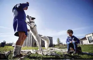  ??  ?? Tatyana Abramova, 33, and her son Timofei, 6, play with a home fox Plombir at their countrysid­e house outside Siberian city. —AFP photos