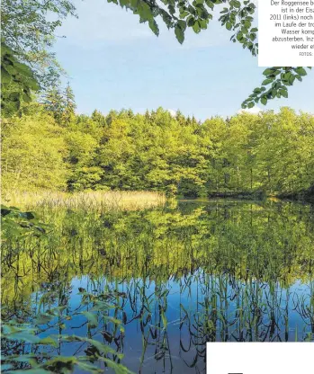  ?? FOTOS: DIETER EGE ?? Der Roggensee bei Bad Schussenri­ed
ist in der Eiszeit entstanden.
2011 (links) noch gut gefüllt, verlor er im Laufe der trockenen Jahre sein
Wasser komplett und drohte abzusterbe­n. Inzwischen hat er sich
wieder etwas erholt.