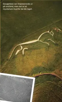  ??  ?? Geoglyfene ser imponerend­e ut på avstand, men det er et mysterium hvorfor de ble laget.