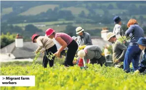  ??  ?? Migrant farm workers