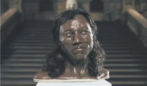  ??  ?? A computer-generated image of what scientists think Cheddar Man looked like