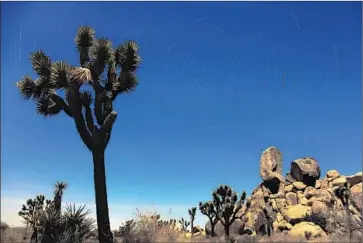  ?? Rick Loomis Los Angeles Times ?? TAKE A DIY APPROACH to a f itness retreat at Joshua Tree National Park ( or another locale of your choosing). Save money by camping and cooking out. Schedule your own rock- climbing times and hours- long hikes.