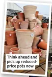  ?? ?? Think ahead and pick up reducedpri­ce pots now