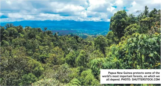  ?? ?? Papua New Guinea protects some of the world’s most important forests, on which we all depend. PHOTO: SHUTTERSTO­CK.COM