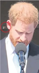  ??  ?? Bee (circled) approaches Prince Harry’s ear and his new duchess sees the fun yesterday