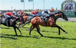  ?? RACE IMAGES SOUTH ?? Sherwood Forest holds off his threeyear-old rivals to score at Riccarton yesterday.