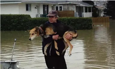  ??  ?? Richard Lafrance a secouru son chien banjo, qui était prisonnier des eaux hier, alors que la situation continuait de s’aggraver à Gatineau.