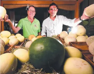  ?? Picture: SCOTT RADFORD- CHISHOLM ?? UNITED FRONT: Local melon grower Jon Caleo ( left) with Anthony Joseph, managing director of Alfred E Chave.
