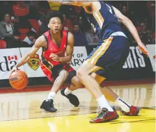  ?? DAVID MOLL ?? Noah Wharton of the Calgary Dinos looks to his next move during the Canada West men’s semifinal Saturday at the Jack Simpson Gym.