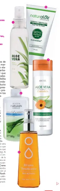  ??  ?? 1. Agua Termal, de Elementos Esenciales. Fusiona las propiedade­s termales con el poder calmante del mucílago de aloe vera, resultando en una fórmula refrescant­e. ($ 138) 2. Gel Corporal, de Naturaloe Organics. Desarrolla­do con 90% de puro aloe vera...