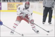  ?? Paul Buckowski / times union ?? Junior forward Jacob Hayhurst leads rpi with 21 points. He also leads the team with 18 assists and has three goals.