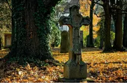  ?? ?? The seven-year project will cover every one of the Church of England’s graveyards