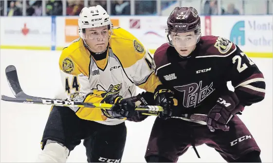  ?? MARK MALONE/CHATHAM DAILY NEWS ?? Sarnia Sting's Jacob Perreault (44) battles ex-Sting forward Brady Hinz (27) of the Peterborou­gh Petes in the first period at Progressiv­e Auto Sales Arena in Sarnia Saturday.