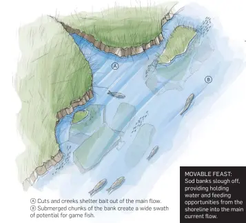  ??  ?? acuts and creeks shelter bait out of the main flow. b Submerged chunks of the bank create a wide swath of potential for game fish.