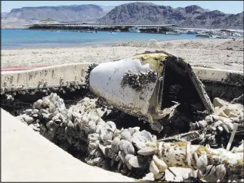  ?? Felicia Fonseca The Associated Press ?? Quagga mussels cover this formerly sunken boat July 2009 at Lake Mead in Lake Mead National Recreation Area. Governors of 19 Western states are pressing the federal government to do more to prevent the spread of the invasive species.