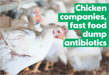  ??  ?? SCOTT OLSON, GETTY IMAGES Tyson says its pledge to go antibiotic-free by the end of the year will apply to poultry it sells in stores under its own label.