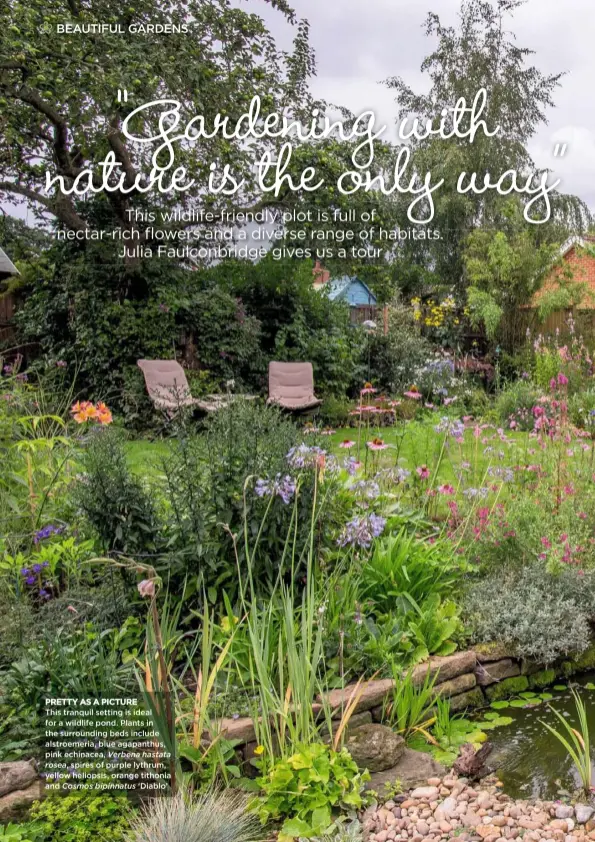  ??  ?? PRETTY AS A PICTURE This tranquil setting is ideal for a wildlife pond. Plants in the surroundin­g beds include alstroemer­ia, blue agapanthus, pink echinacea, Verbena hastata rosea, spires of purple lythrum, yellow heliopsis, orange tithonia and Cosmos...