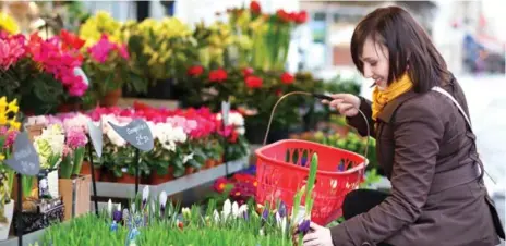  ?? DREAMSTIME ?? When choosing the perfect flowering plants for a garden, consider those that are truly perennial — wrought-iron winter hardy.