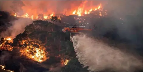  ??  ?? A helicopter battling with one of the Australian bushfires in Bairnsdale, Victoria.