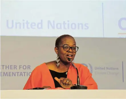  ?? Picture: BIRD ?? SPARKING DEBATE: Wanjira Mathai, vice president and regional director for Africa at the World Resources Institute, speaking at COP27 in Sharm El Sheikh, Egypt.