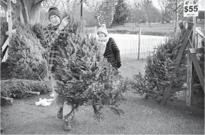  ?? ROBERT F. BUKATY AP ?? Larry Gurnee carries a $55 Christmas tree he selected with his wife, Libby Gurnee, at a Rotary Club tree sale in South Portland, Maine. Inflation has Americans cutting back — but not on Christmas trees.