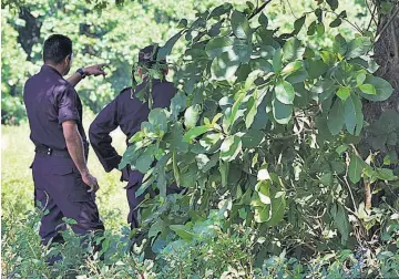  ??  ?? Víctima. Un hombre fue asesinado ayer en caserío Los Mangos, cantón Valle Alegre I, municipio de Moncagua, San Miguel.