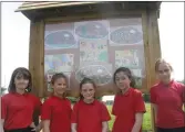  ??  ?? Pupils from St Anne’s Primary School with the ‘bug hotel’ board which was erected this year.